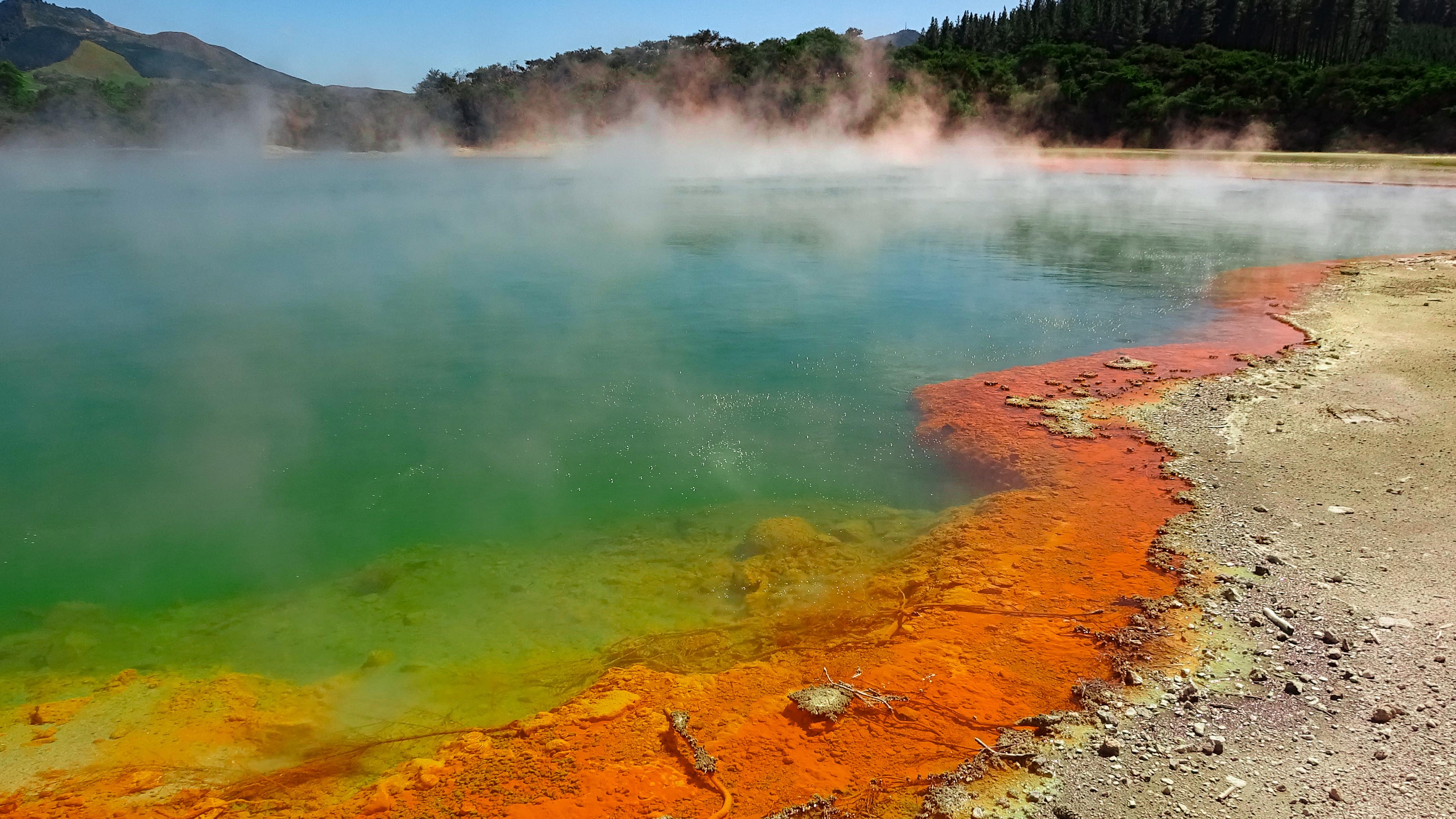 Nuova Zelanda - Thermal Heartland